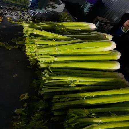 How Using Celery Improves Your Health Status