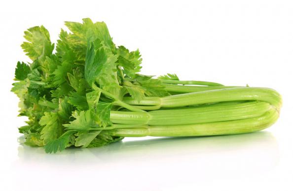Perfect and Organic Celery Distribution Company